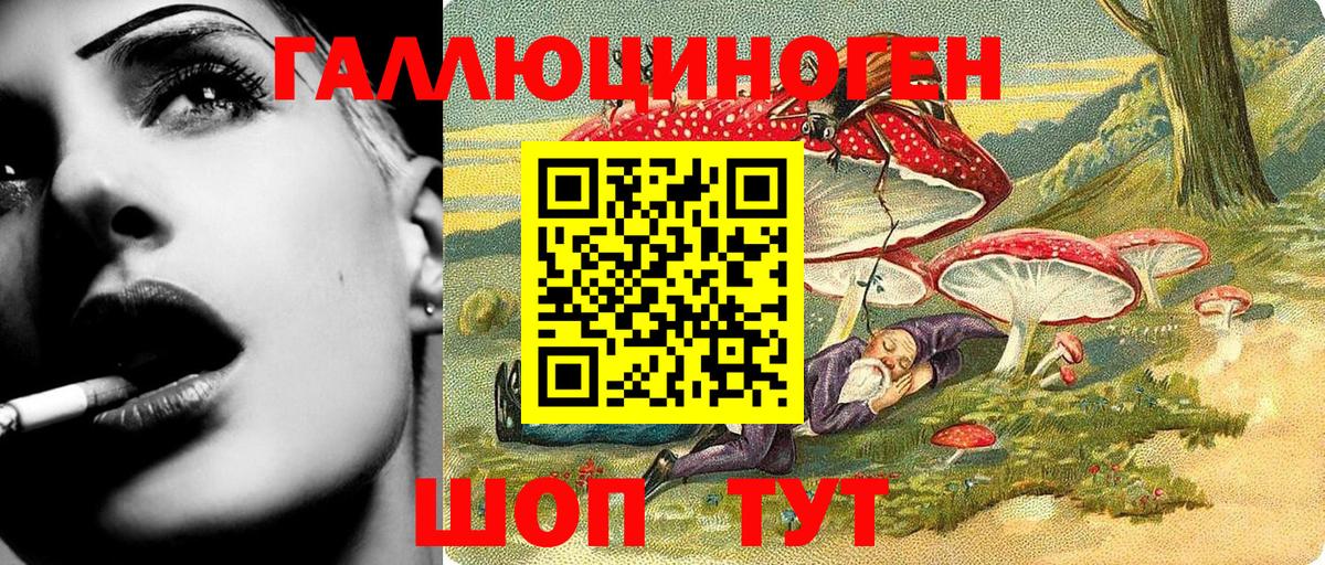 Галлюциногенные грибы MAGIC MUSHROOMS  Псилоцибиновые грибы Magic Shrooms  Прохладный  Вход с VPN 