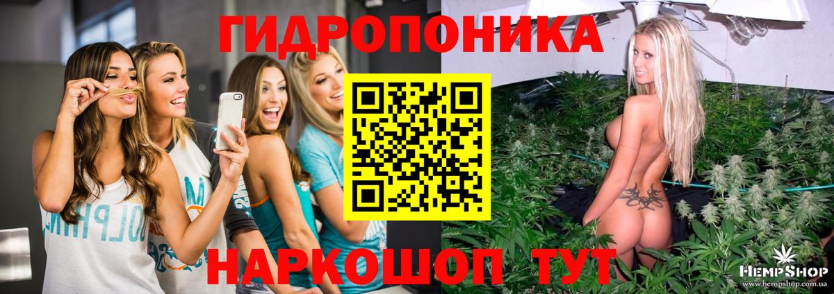 Бошки марихуана MAZAR Прохладный